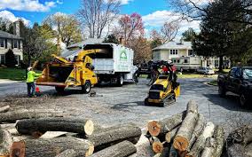 Best Firewood Processing and Delivery  in Fox Farm College, WY